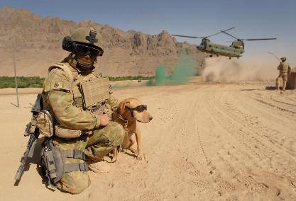 Modern soldier with dog